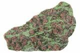 Pyrope, Forsterite, Diopside & Omphacite Slice - Norway #265174-1